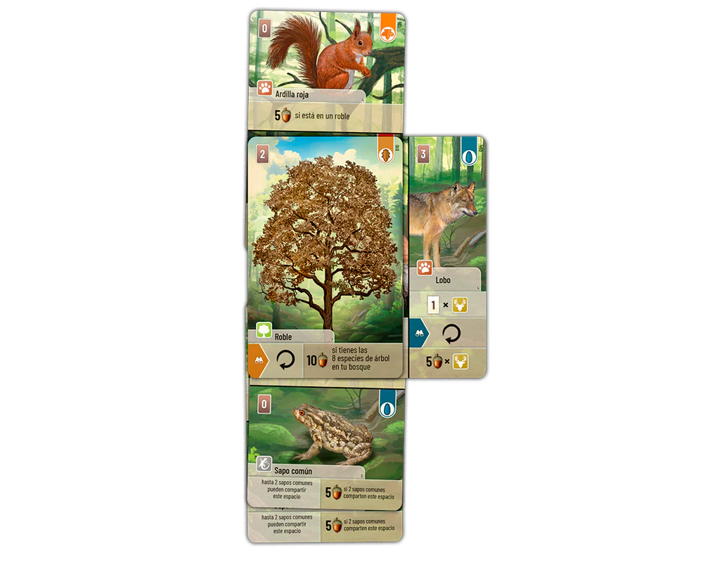 Forest Shuffle
